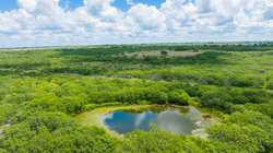 Kenedy TX