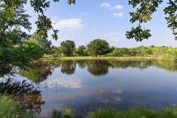 Hwy 16 S Comanche TX 76442
