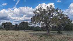 TBD Highway 304 Harwood TX 78632