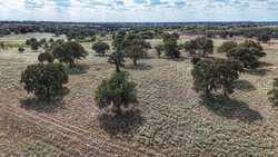 TBD Highway 304 Harwood TX 78632