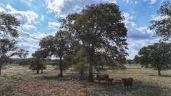 TBD Highway 304 Harwood TX 78632