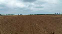 Fm 1436 La Pryor TX 78829