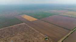 Fm 1436 La Pryor TX 78829