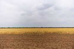 Fm 1436 La Pryor TX 78829