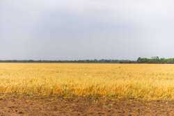 Fm 1436 La Pryor TX 78829