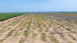 Fm 1436 La Pryor TX 78829