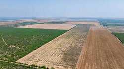 Fm 1436 La Pryor TX 78829