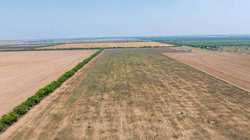 Fm 1436 La Pryor TX 78829