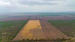 Fm 1436 La Pryor TX 78829