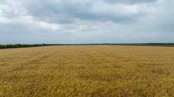 Fm 1436 La Pryor TX 78829