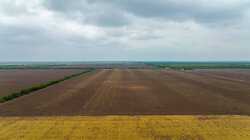 Fm 1436 La Pryor TX 78829