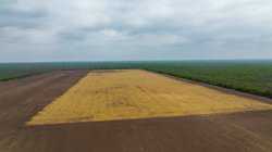 Fm 1436 La Pryor TX 78829