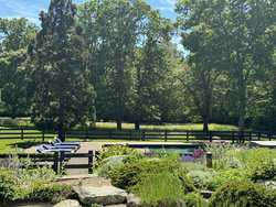 Chilmark MA 02535
