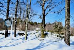 311 Lawrence Drive West Townshend VT 05359