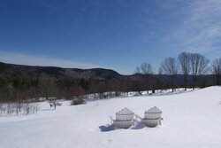311 Lawrence Drive West Townshend VT 05359