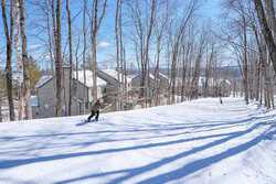 Ludlow VT 05149