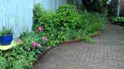 180 Commercial Street Provincetown ma 02657