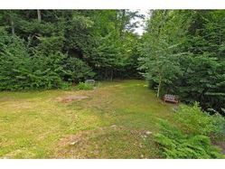 Alton NH 03810