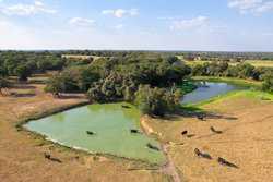 10960 State Highway 304 Harwood TX 78632