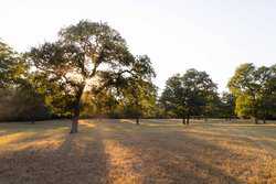 10960 State Highway 304 Harwood TX 78632