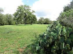 10960 State Highway 304 Harwood TX 78632