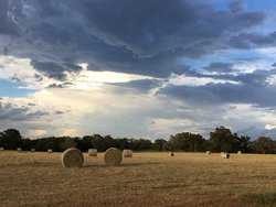 10960 State Highway 304 Harwood TX 78632