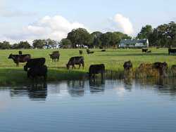 10960 State Highway 304 Harwood TX 78632