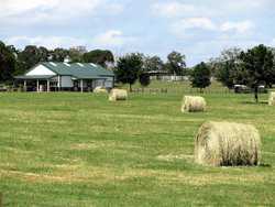 10960 State Highway 304 Harwood TX 78632