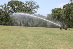 10960 State Highway 304 Harwood TX 78632