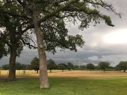 10960 State Highway 304 Harwood TX 78632