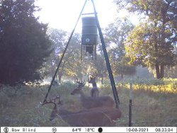 10960 State Highway 304 Harwood TX 78632