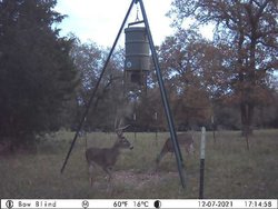 10960 State Highway 304 Harwood TX 78632