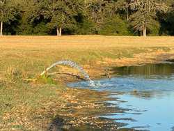 10960 State Highway 304 Harwood TX 78632