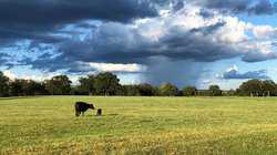 10960 State Highway 304 Harwood TX 78632