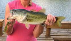 10960 State Highway 304 Harwood TX 78632