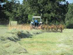 10960 State Highway 304 Harwood TX 78632