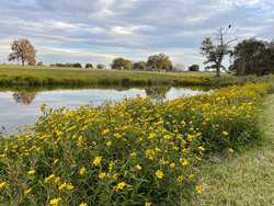 10960 State Highway 304 Harwood TX 78632