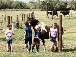 10960 State Highway 304 Harwood TX 78632