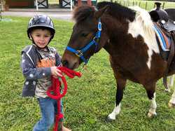 10960 State Highway 304 Harwood TX 78632