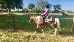 10960 State Highway 304 Harwood TX 78632