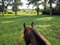 10960 State Highway 304 Harwood TX 78632