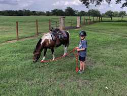 10960 State Highway 304 Harwood TX 78632