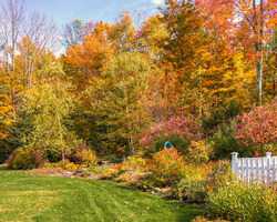 1903 Fish Hill Road Randolph VT 05060