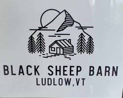 Ludlow VT 05149