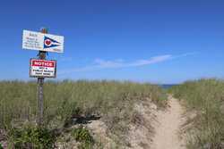 Oak Bluffs MA 02557