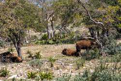 1736 Y O Ranch Road NW Mountain Home TX 78058