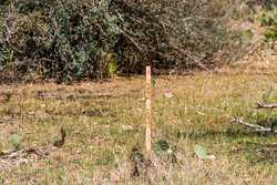 1736 Y O Ranch Road NW Mountain Home TX 78058