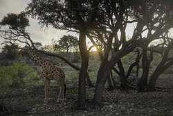 1736 Y O Ranch Road NW Mountain Home TX 78058