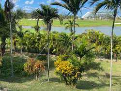 New Providence/Paradise Island BS