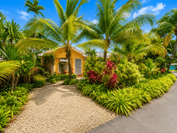 New Providence Paradise Island BS